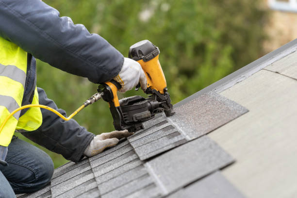 Best Skylight Installation and Repair  in Locust, NC
